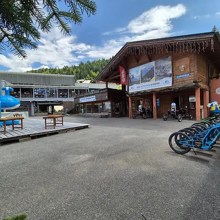 Appartement-centre-morzine-vue Pistes-8-9 Pers-bois Venants
